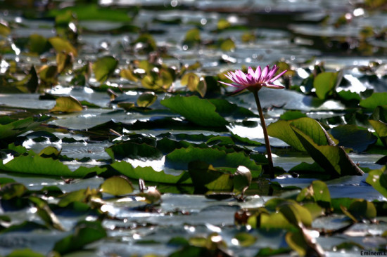 �麣һ��-������Ӱ