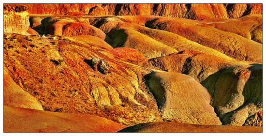 �����½�---���̲-��������