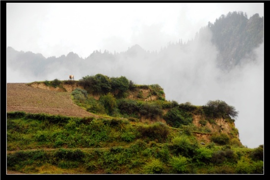 �����ǣ��У�ҵ�չ�-���ϵ���