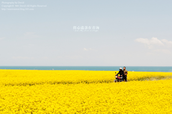 �����z�����ຣ���¡�-��������