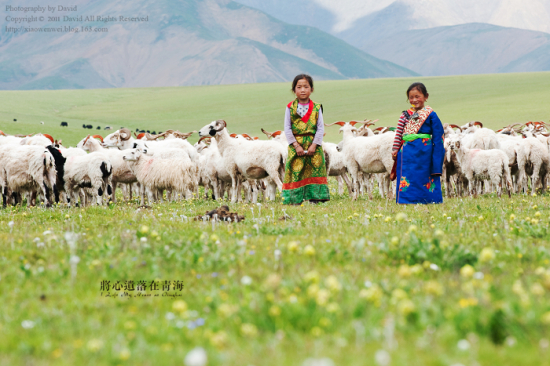 �����z�����ຣ���¡�-��������