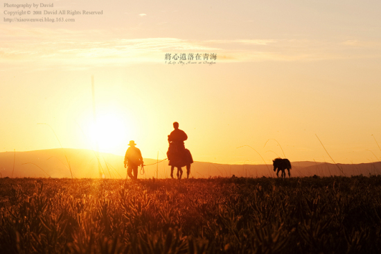 �����z�����ຣ���¡�-��������