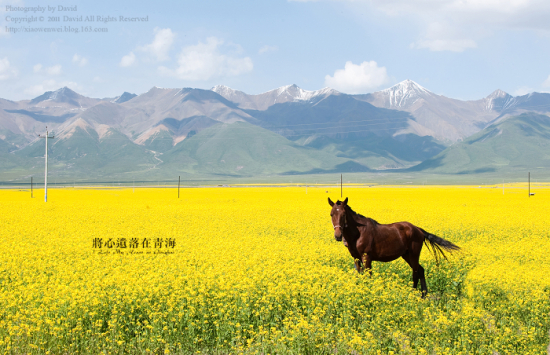 �����z�����ຣ���¡�-��������