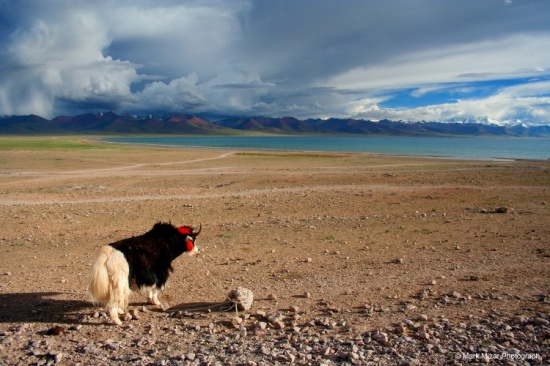 ����ר��-���ϵ���