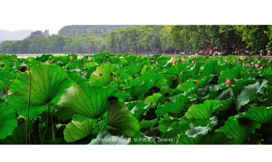 7���������-��������