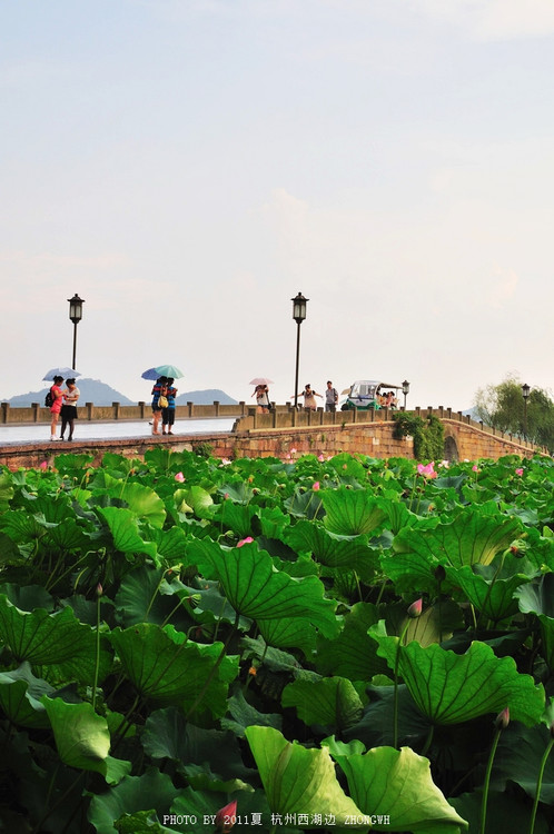 7���������-��������