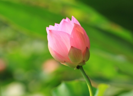 ʪ������-��������