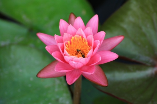 ʪ������-��������