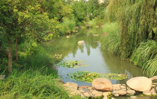 ʪ������-��������