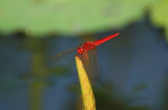 ʪ������-��������