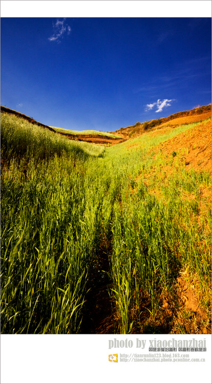 �����飨����-���ϵ���