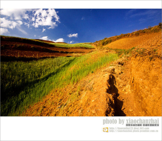 �����飨����-���ϵ���