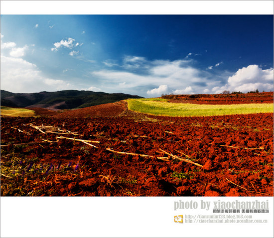 �����飨����-���ϵ���