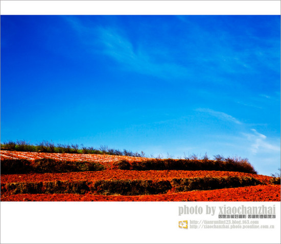 �����飨����-���ϵ���