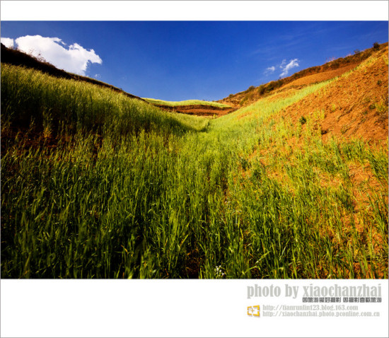 �����飨����-���ϵ���