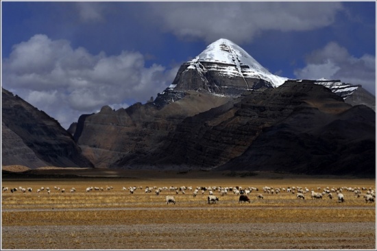 ���ء�����ۼ��ĵ���-���ϵ���