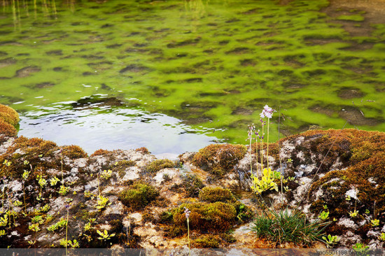 ����<span class=lxw>[ע: ����ɽ-����ɽ(Minya Konka)��������Mount Kung-k a��Kung-k a Shan��Gongga Shan���й�������ɽ��λ���Ĵ�ʡ�������ϣ��Ǵ�ѩɽ�����塣]</span>Ȫ��̲-���ϵ���