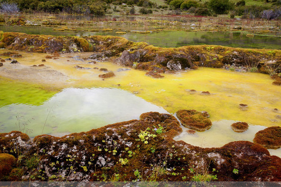 ����Ȫ��̲-���ϵ���