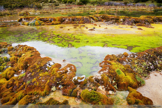 ����Ȫ��̲-���ϵ���