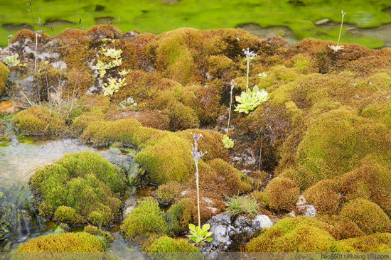 ����Ȫ��̲-���ϵ���