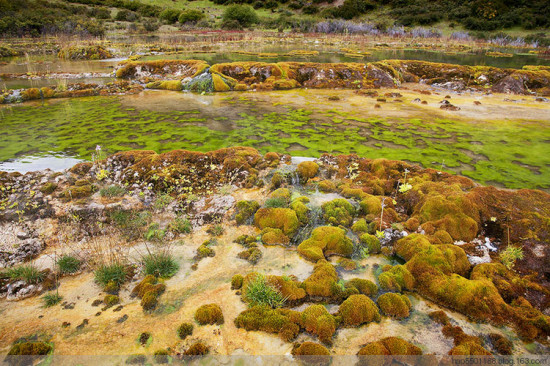 ����Ȫ��̲-���ϵ���