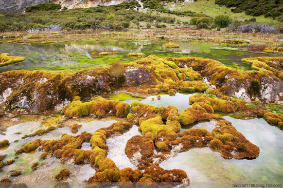 ����Ȫ��̲-���ϵ���