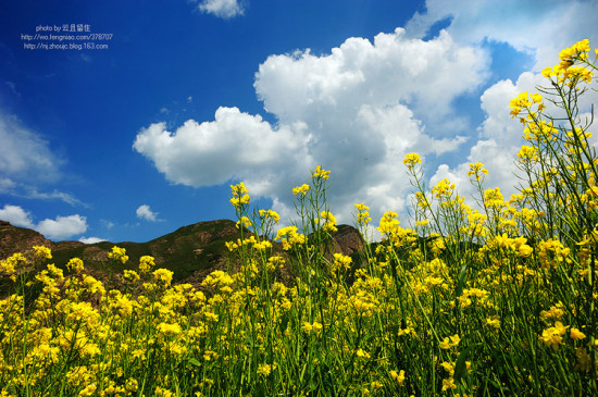 �ຣ��С��-��������