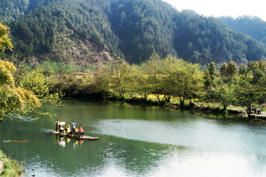 ����ȥ��Դ���Ͳ˻�-ֲ�ﻨ��