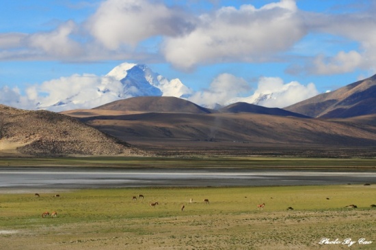 ���㰢��-��������ƪ-���ϵ���