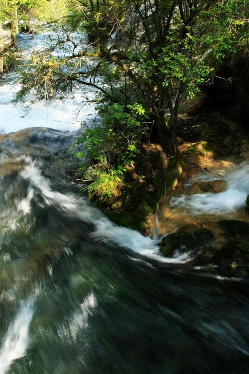 ���Ծ�կ-���ϵ���