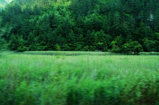 ���Ծ�կ-���ϵ���