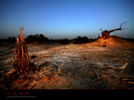 �����½�---����-��������