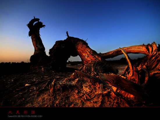 �����½�---����-��������