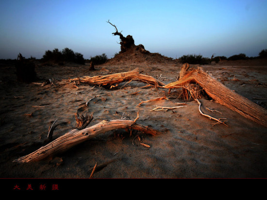 �����½�---����-��������