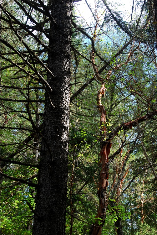 ���ɳأ��۶�ɣ�룩��������̲��ˮ����-��Ȼ�羰