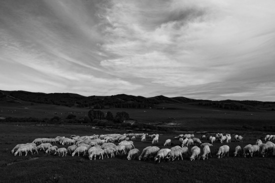 ���հ���---�ڰ�-��������