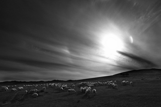 ���հ���---�ڰ�-��������