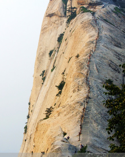 �ؼ�����ɽ��-��������