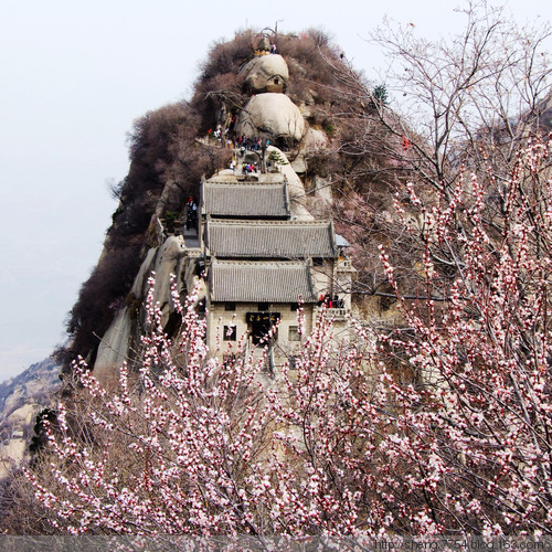 �ؼ�����ɽ��-��������