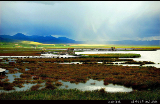 ������ɫ-���ϵ���