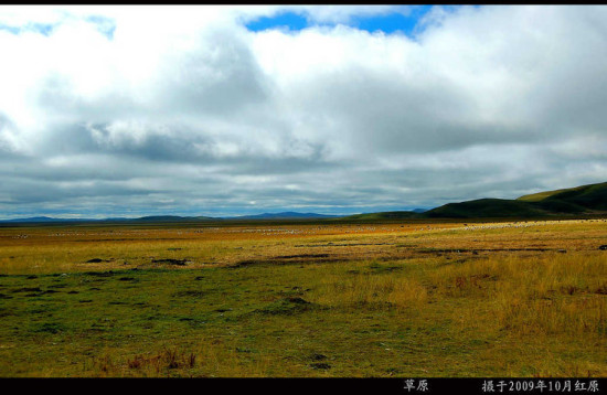 ������ɫ-���ϵ���