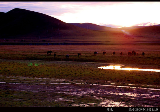 ������ɫ-���ϵ���