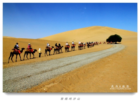 ��Į����-��������