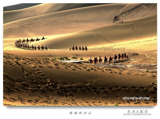 ��Į����-��������