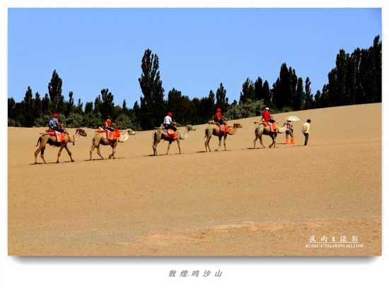 ��Į����-��������