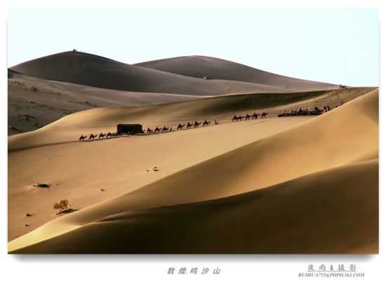 ��Į����-��������