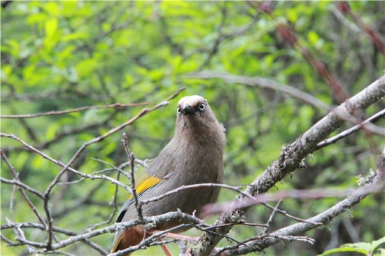 �����ɾ�-��Ȼ�羰