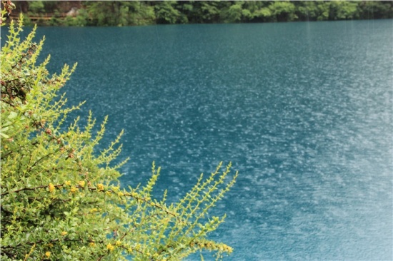 �����ɾ�-��Ȼ�羰