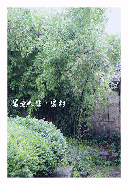 д�����������-������Ӱ