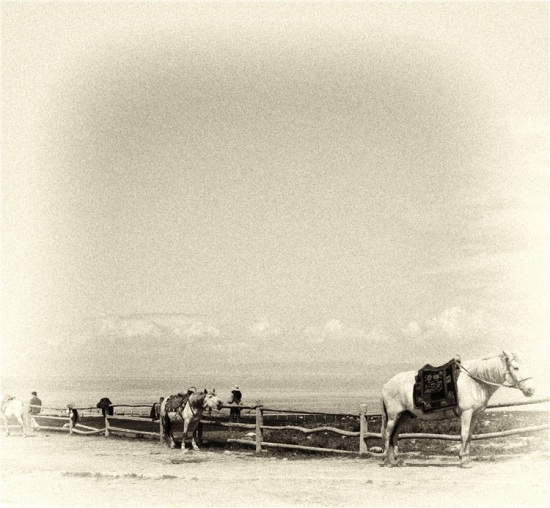 �����ຣ-��������